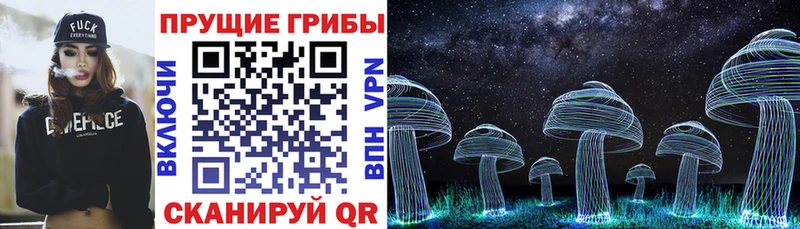 Псилоцибиновые грибы MAGIC MUSHROOMS  закладка  Правдинск 