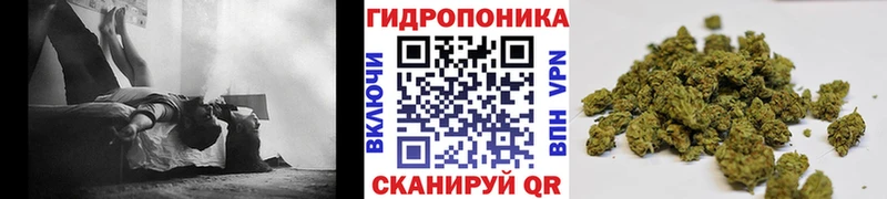 Бошки марихуана LSD WEED  где купить наркоту  Правдинск 